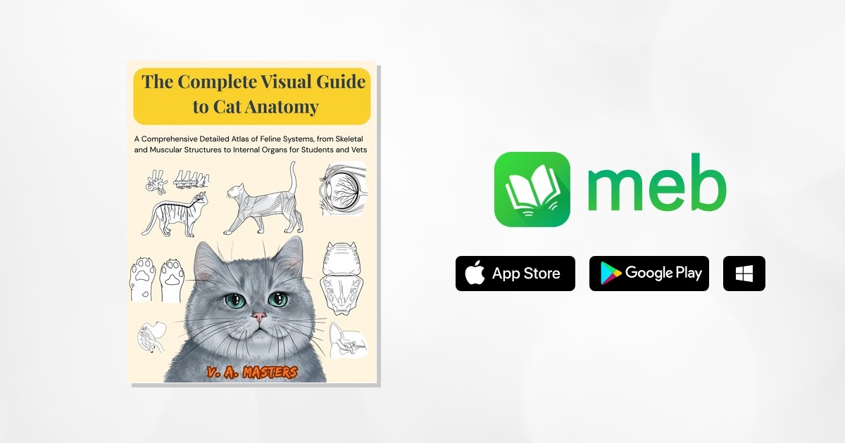 The Complete Visual Guide to Cat Anatomy: A Comprehensive Detailed ...