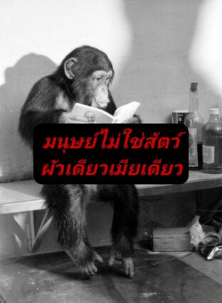 มนุษย์ไม่ใช่สัตว์ผัวเดียวเมียเดียว