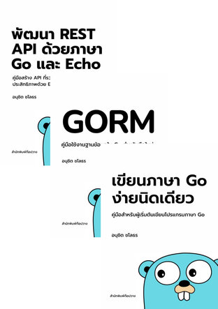 SET ภาษา Go ง่ายนิดเดียว