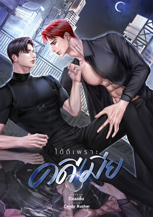 ได้ดีเพราะคดีเมีย