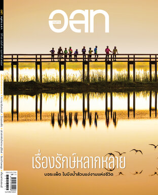 อ.ส.ท. ฉบับกุมภาพันธ์ 2569