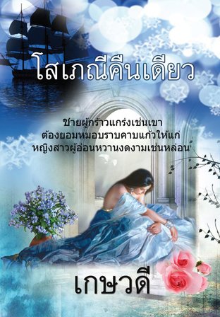 โสเภณีคืนเดียว