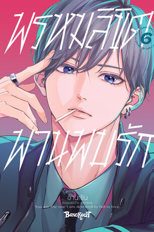 พรหมลิขิตพานพบรัก 6