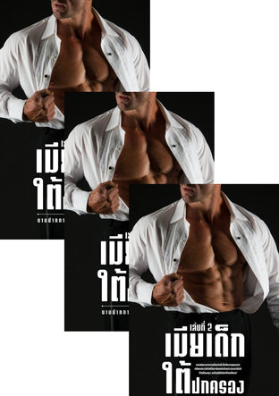 SET เมียเด็กใต้ปกครอง 4 เล่มจบ