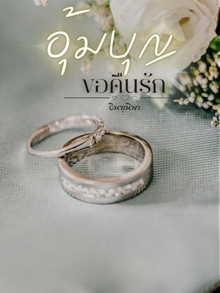 อุ้มบุญขอคืนรัก