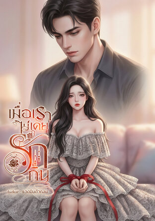 เมื่อเราไม่เคยรักกัน