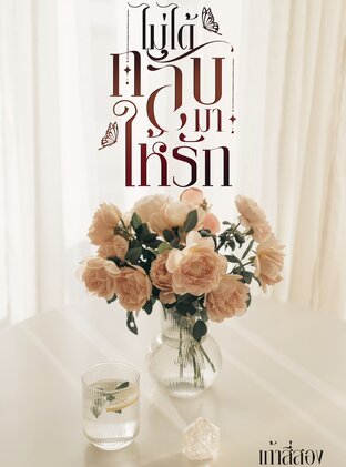 ไม่ได้กลับมาให้รัก