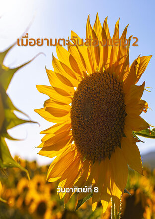 เมื่อยามตะวันส่องแสง 2