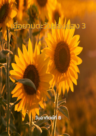 เมื่อยามตะวันส่องแสง 3 (จบ)