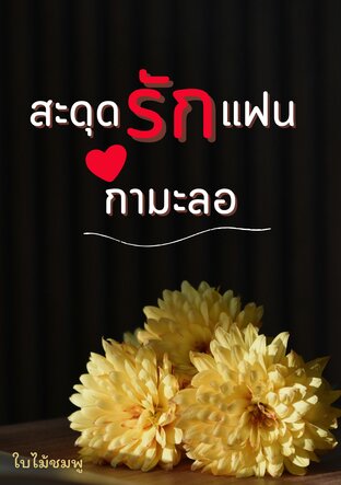 สะดุดรักแฟนกำมะลอ