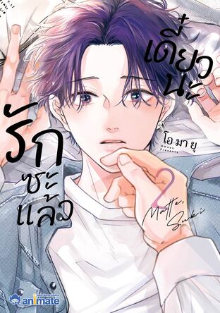เดี๋ยวนะ รักซะแล้ว เล่ม 2