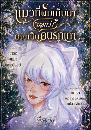 แมวที่ผมเก็บมา บอกว่า&hellip;เคยเป็นคนรักเก่า