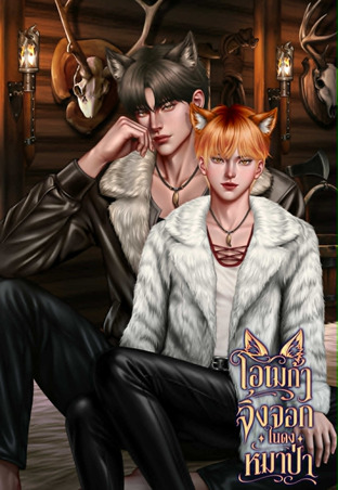 โอเมก้าจิ้งจอกในดงหมาป่า (อีนิกม่าxโอเมก้า)