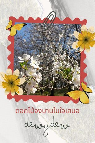 ดอกไม้จงบานในใจเสมอ เล่ม 1