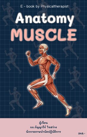 Anatomy Muscle