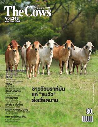 The Cows Vol.248