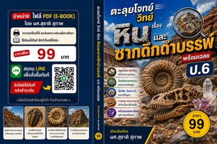 ตะลุยโจทย์ วิทย์  ป.6 เรื่อง หินและซากดึกดำบรรพ์ พร้อมเฉลย
