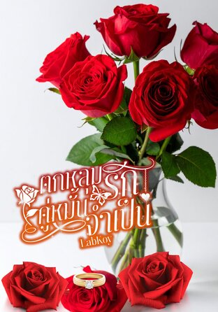 ตกหลุมรัก คู่หมั้นจำเป็น