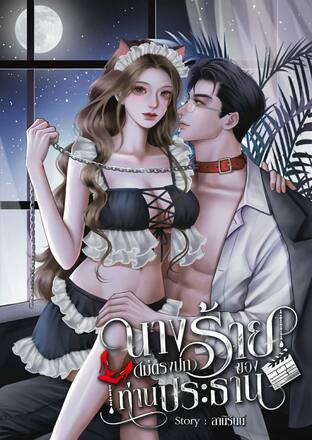 นางร้ายไม่ตรงปก ของท่านประธาน เล่มพิเศษ