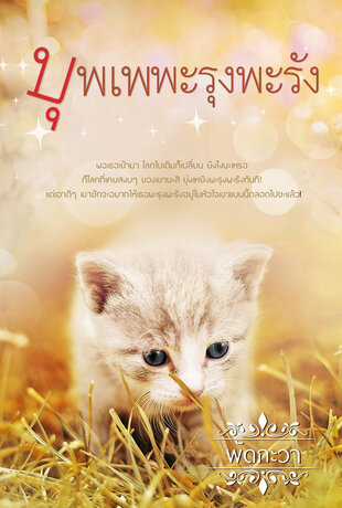 บุพเพพะรุงพะรัง