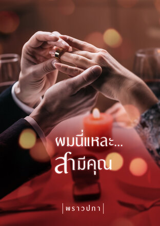 ผมนี่แหละ...สามีคุณ
