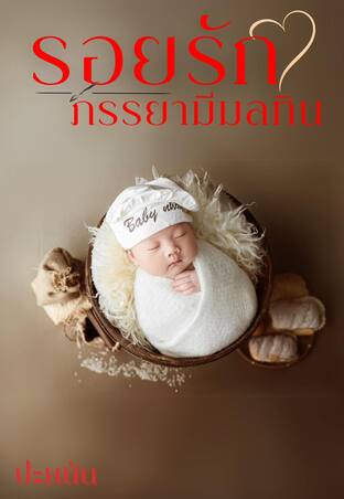 รอยรักภรรยามีมลทิน