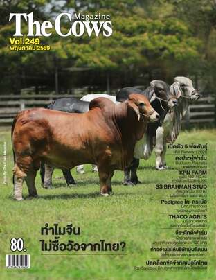 The Cows Vol.249