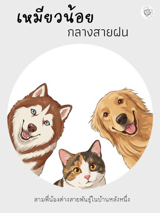 เหมียวน้อยกลางสายฝน