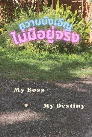 ความบังเอิญ ไม่มีอยู่จริง (My Boss, My Destiny)