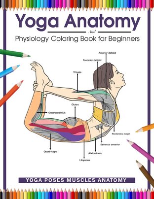 กายวิภาคและสรีรวิทยาโยคะสำหรับผู้เริ่มต้น Yoga Anatomy and Physiology for Beginners: Yoga Poses Muscles Anatomy