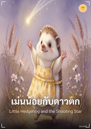 เม่นน้อยกับดาวตก