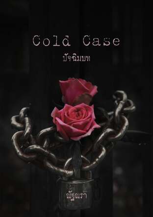 Cold Case ปัจฉิมบท
