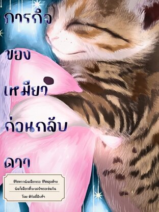 ภารกิจของเหมียว ก่อนกลับดาว