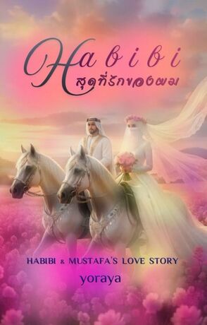 Habibi...สุดที่รักของผม