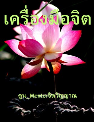 เครื่องมือจิต