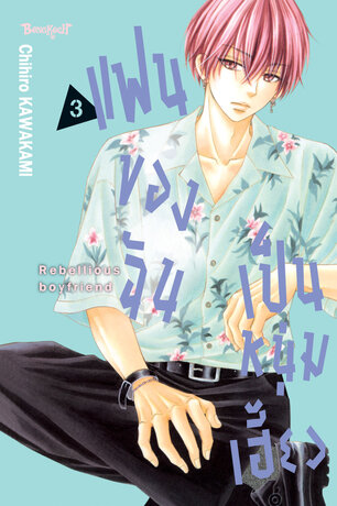 แฟนของฉันเป็นหนุ่มเฮี้ยว 3
