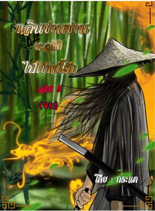 หลินซานซานทะลุมิติไปใช้หนี้รัก เล่ม3 (จบ)