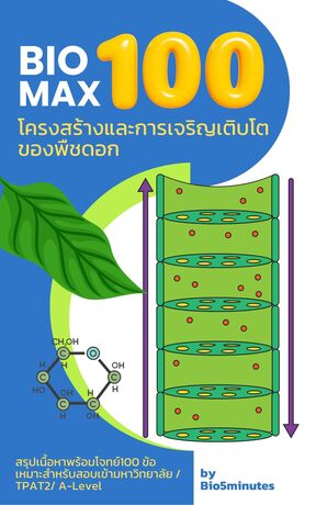 BIOMAX100 โครงสร้างและหน้าที่พืชดอก