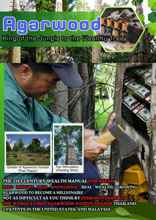 Agarwood  King of the Jungle to the Wealthy Tree