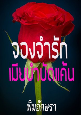 จองจำรักเมียบำบัดแค้น