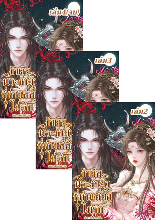 SET ข้าคือพระชายาที่ท่านอ๋องไม่รัก เล่ม1-4(จบ)