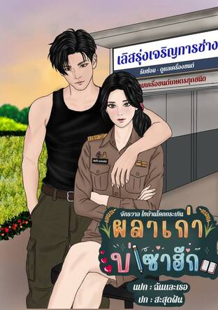 ผลาเก่า บ่เซาฮัก