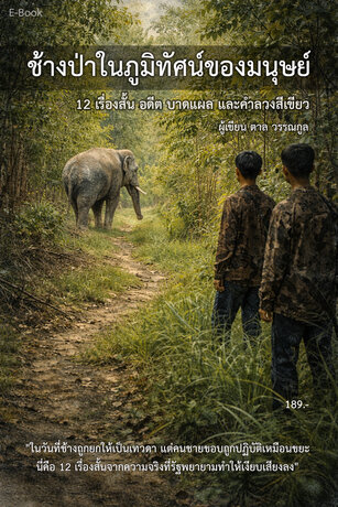 ช้างป่าในภูมิทัศน์ของมนุษย์