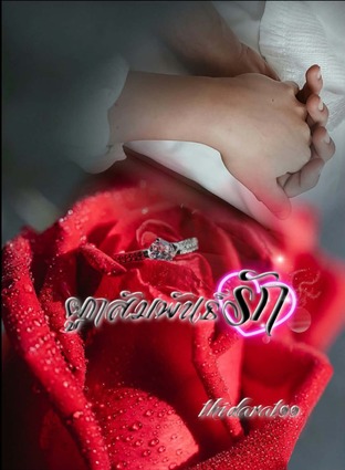 ผูกสัมพันธุ์รัก
