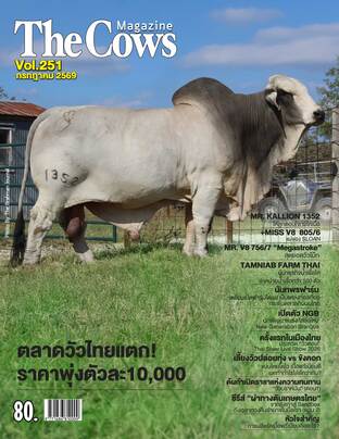 The Cows Vol.251