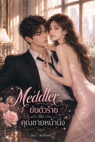 Meddler ยัยตัวร้ายกับคุณชายหน้านิ่ง
