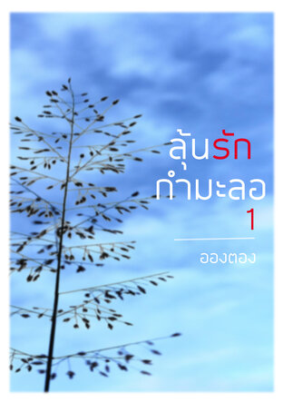 ลุ้นรักกำมะลอ 1