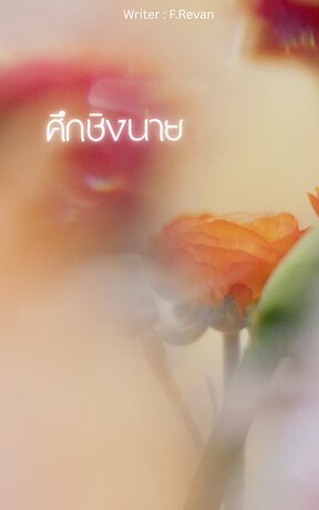 ศึกชิงนาย