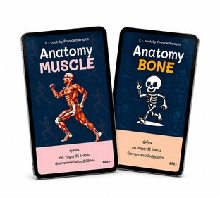 SET ปูพื้นฐาน Anatomy สำหรับนักศึกษากายภาพบำบัด