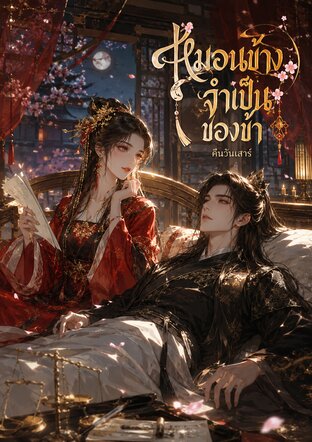 หมอนข้างจำเป็นของข้า
